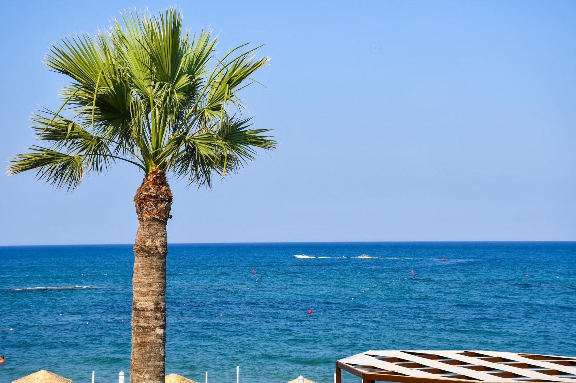 Mimoza Beach Hotel Agios Sergios المظهر الخارجي الصورة